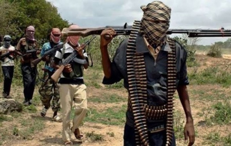 Nigeriyada 700-dən çox terrorçu məhv edilib